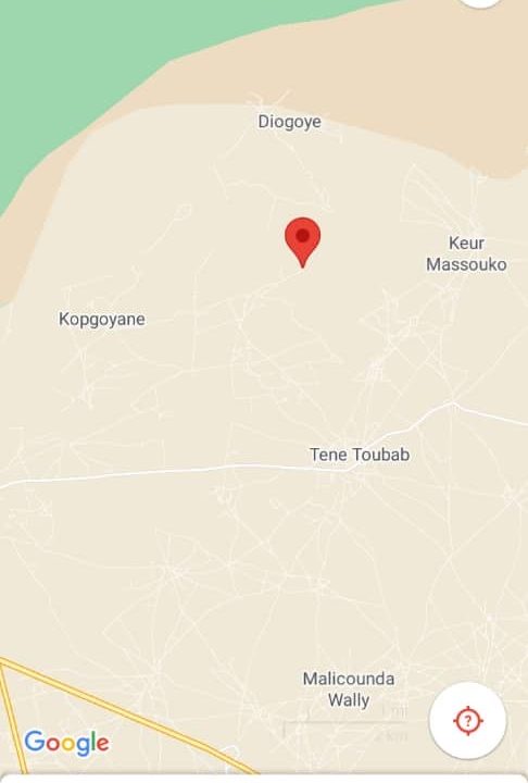 Terrain agricole de 4 hectares à Téné Toubab 3