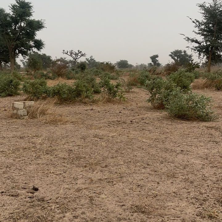 Terrains jumelés 225 mètres carrés à Malicounda Ngogom 3
