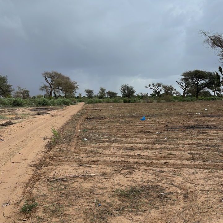 Terrains 225 mètres carrés à Malicounda Keur Malick Ba 4