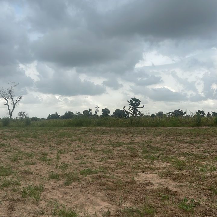 Terrain 10.000 mètres carrés à Sandiara Ndiouk 1