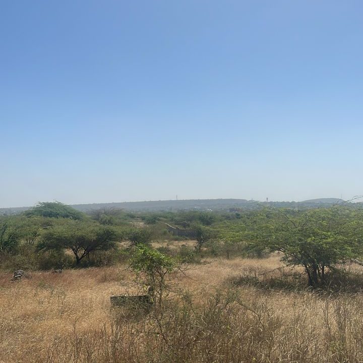 Terrain 300 mètres carrés à Ndayane 4