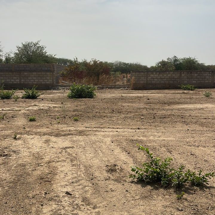 Terrain 1000 mètres carrés à Ndiorokh 2