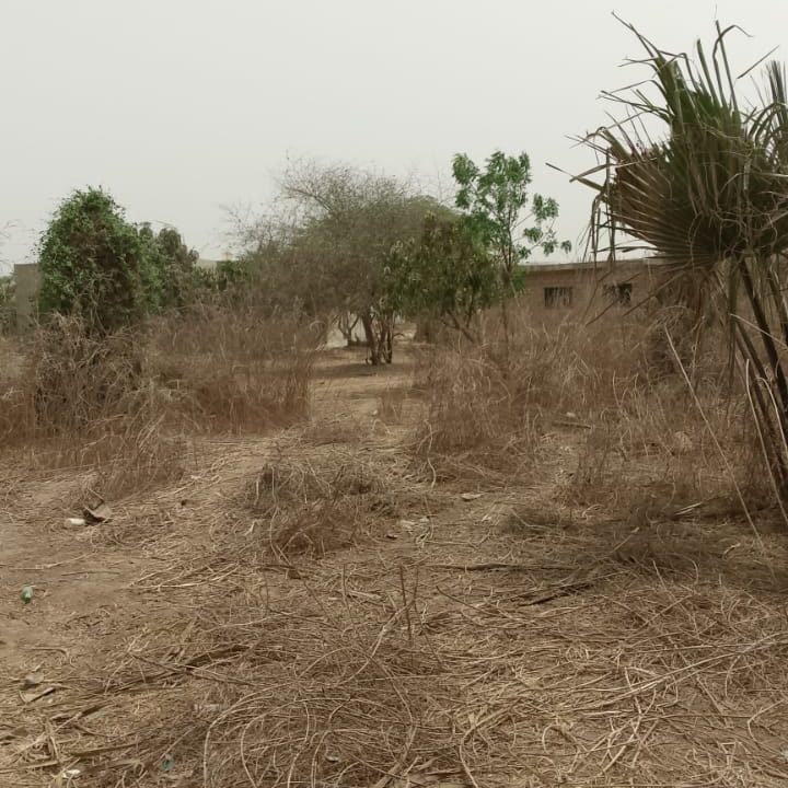 Terrain 1200 m2 à Saly joseph 06