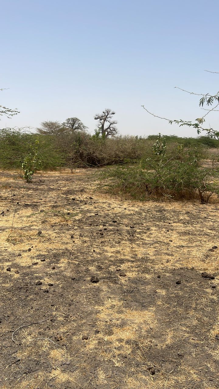 Terrain de 300 mètres carrés à vendre à Nguékhokh Sénégal