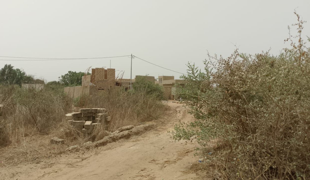 Terrain de 300 mètres carrés à Saly 03