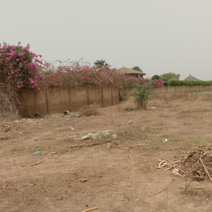 terrain de 300 mètres à Saly joseph 05