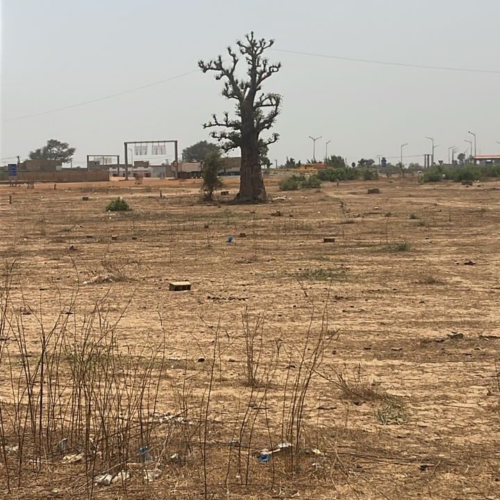 terrain de 300m2 à malicounda péage 02