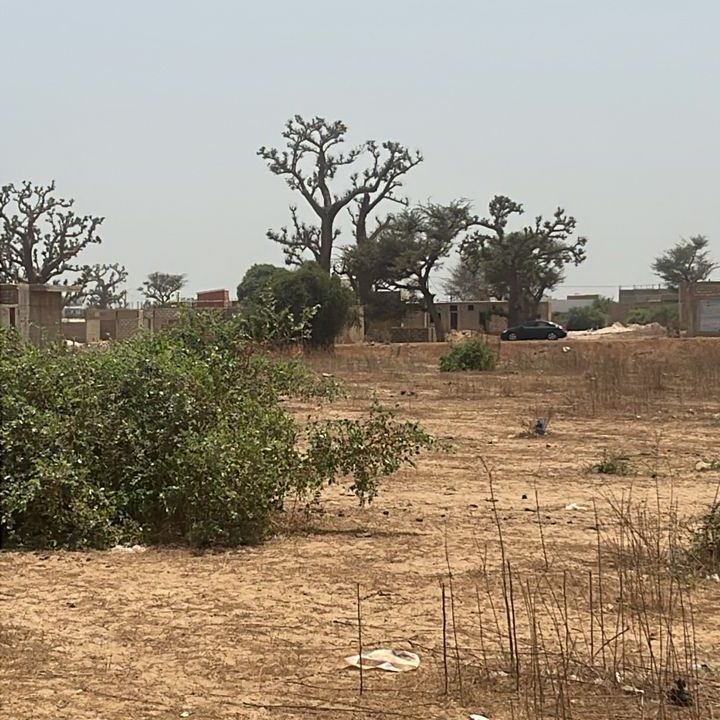 terrain de 300m2 à malicounda péage 03