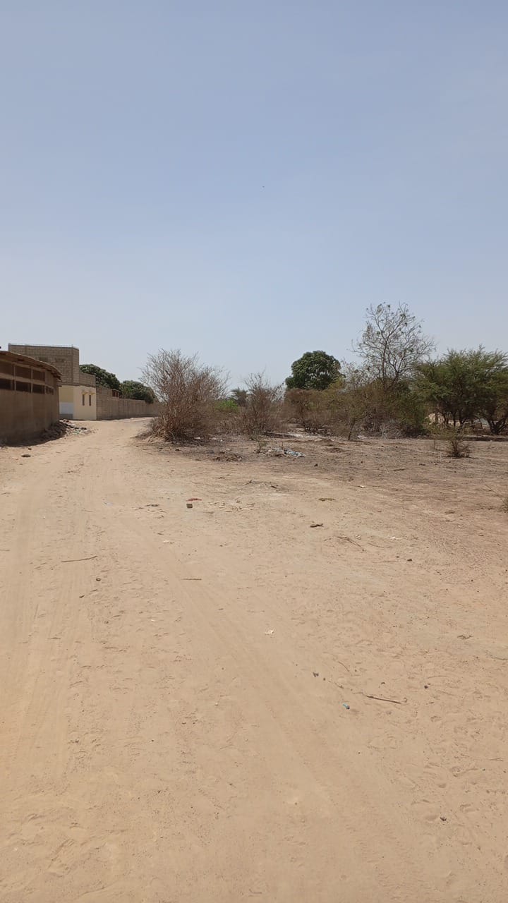 Terrain de 1000 mètres carrés à vendre à Sinthiane Sénégal
