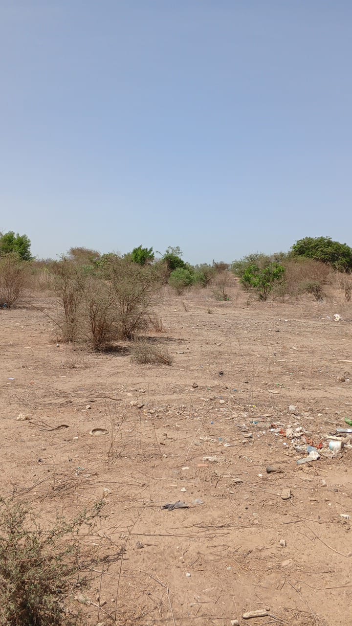 Terrain de 600 mètres carrés à vendre à Sinthiane Sénégal