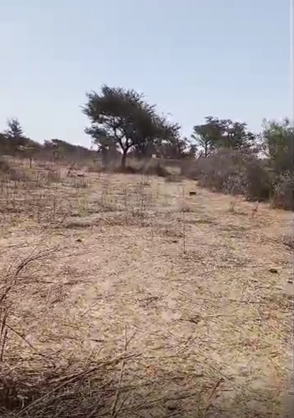 Terrain de 300 mètres carrés à vendre à Malicounda Sénégal