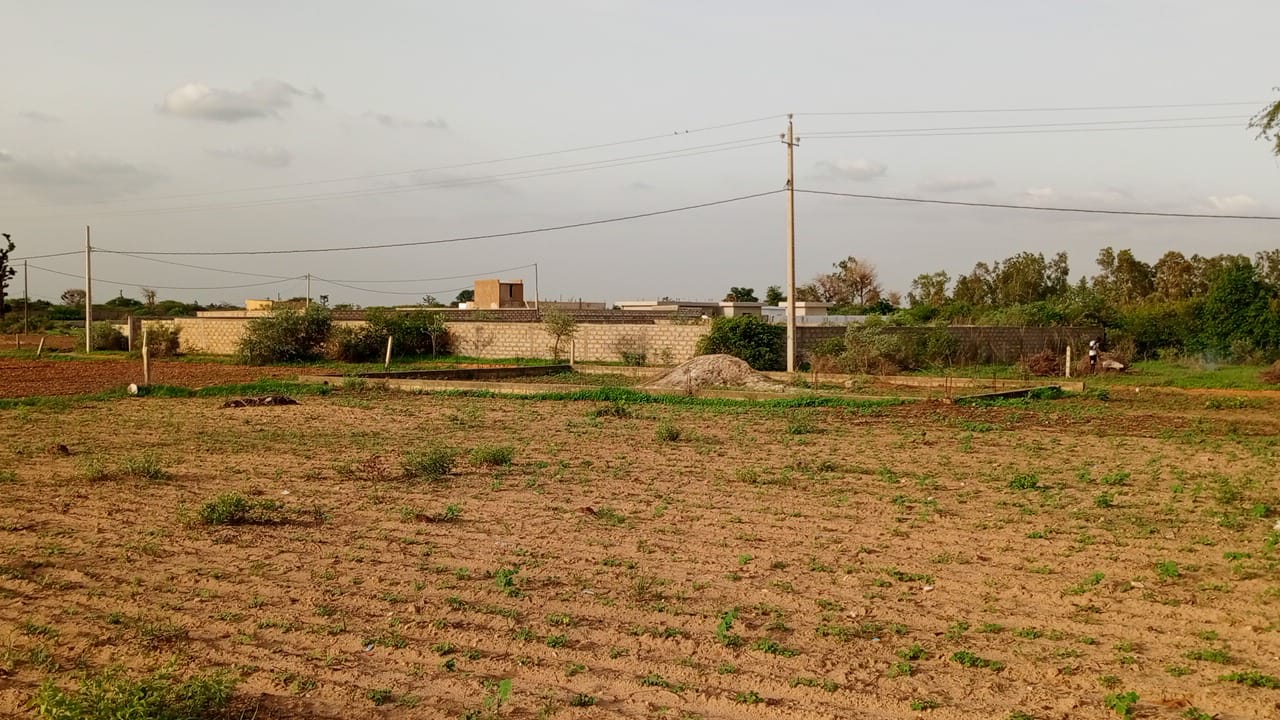 Terrain de 300 mètres carrés à vendre à Nguérigne Sérère