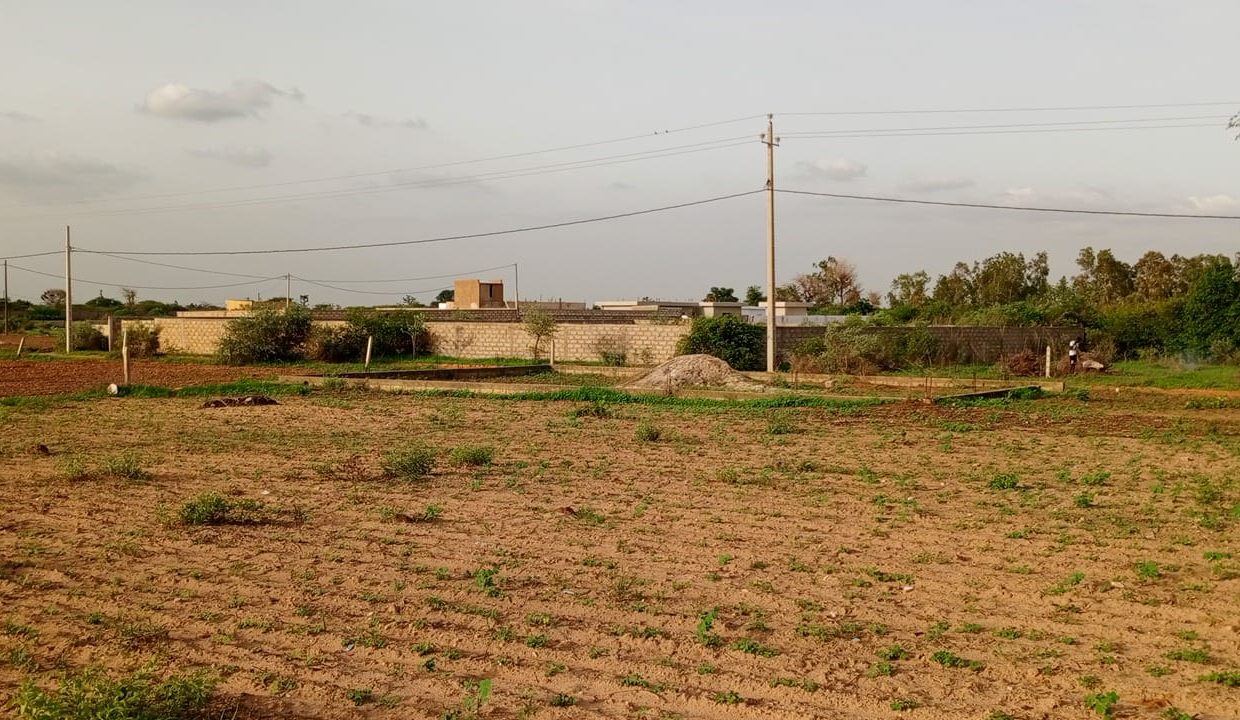 terrain de 300m2 à nguérigne sérère 01