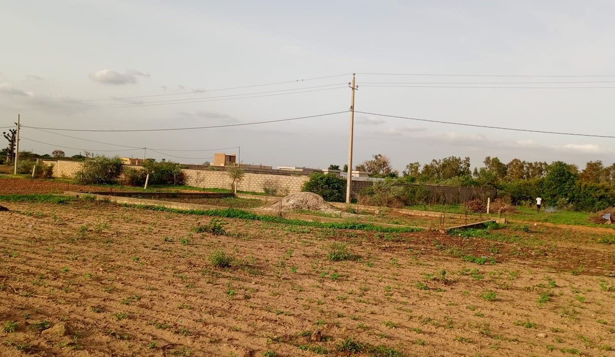 terrain de 300m2 à nguérigne sérère 02