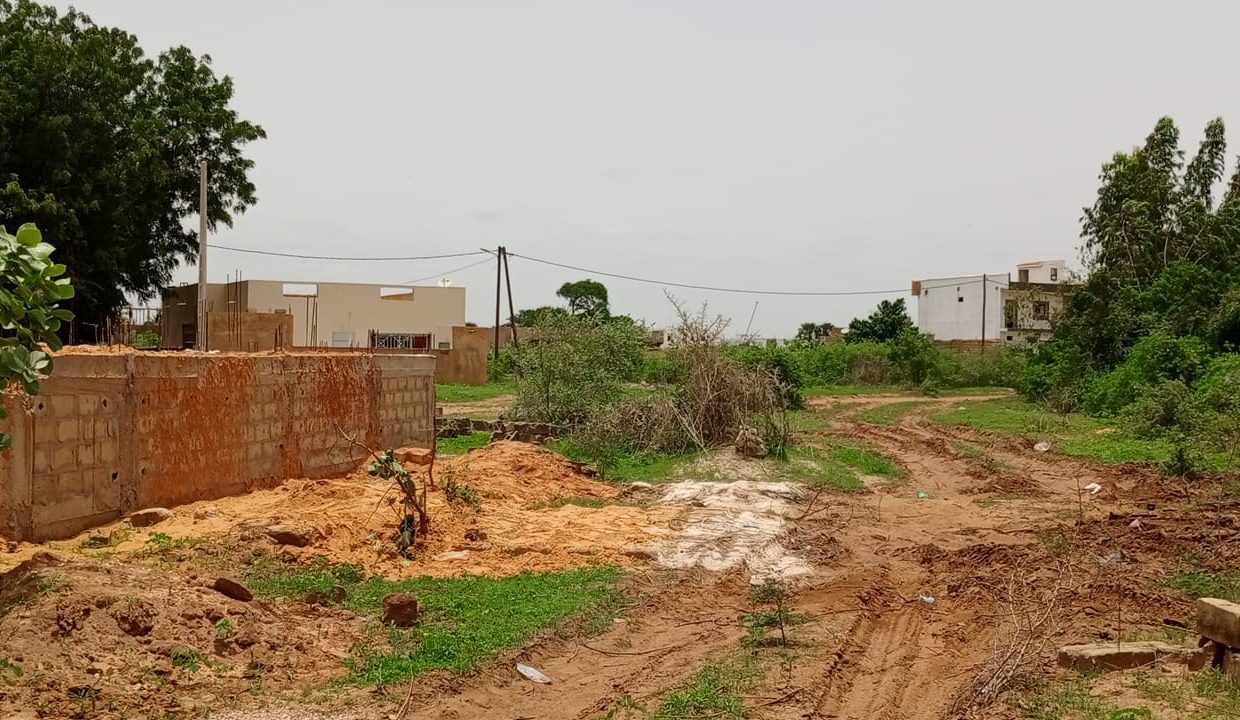 terrain de 300m2 à saly joseph 02