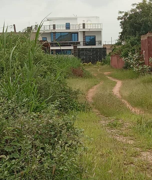 Terrain de 300m2 à vendre à Saly vélin 01