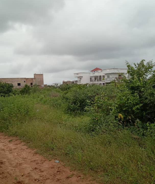 Terrain de 300m2 à vendre à Saly vélin 04