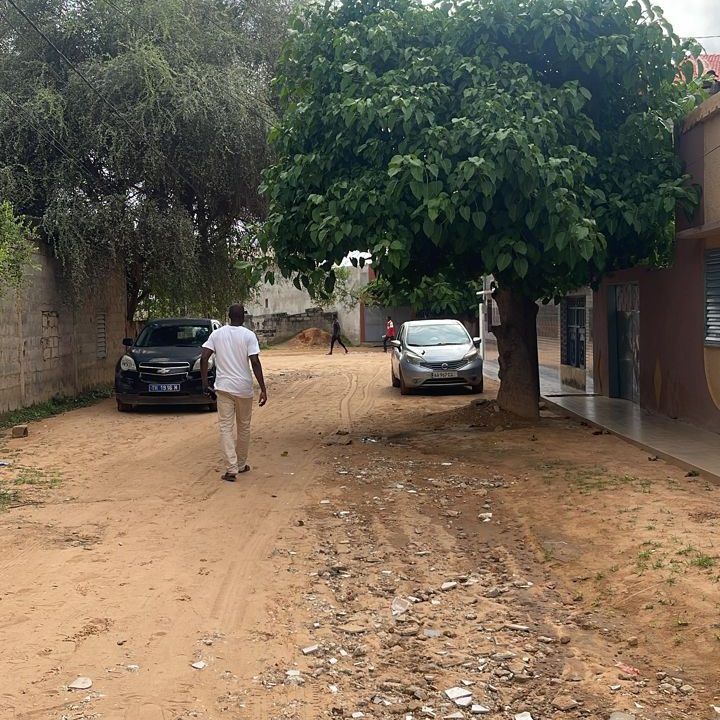 terrain de 300 à mbour 01