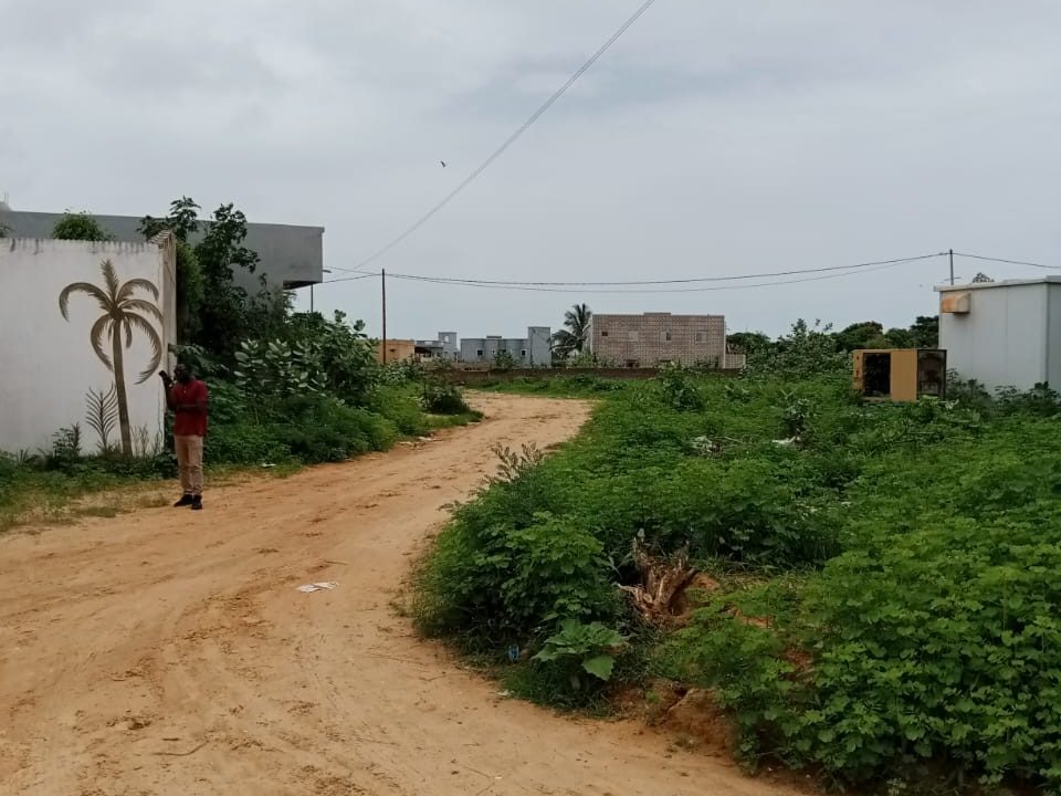 terrain de 300m2 à saly mbamb 01