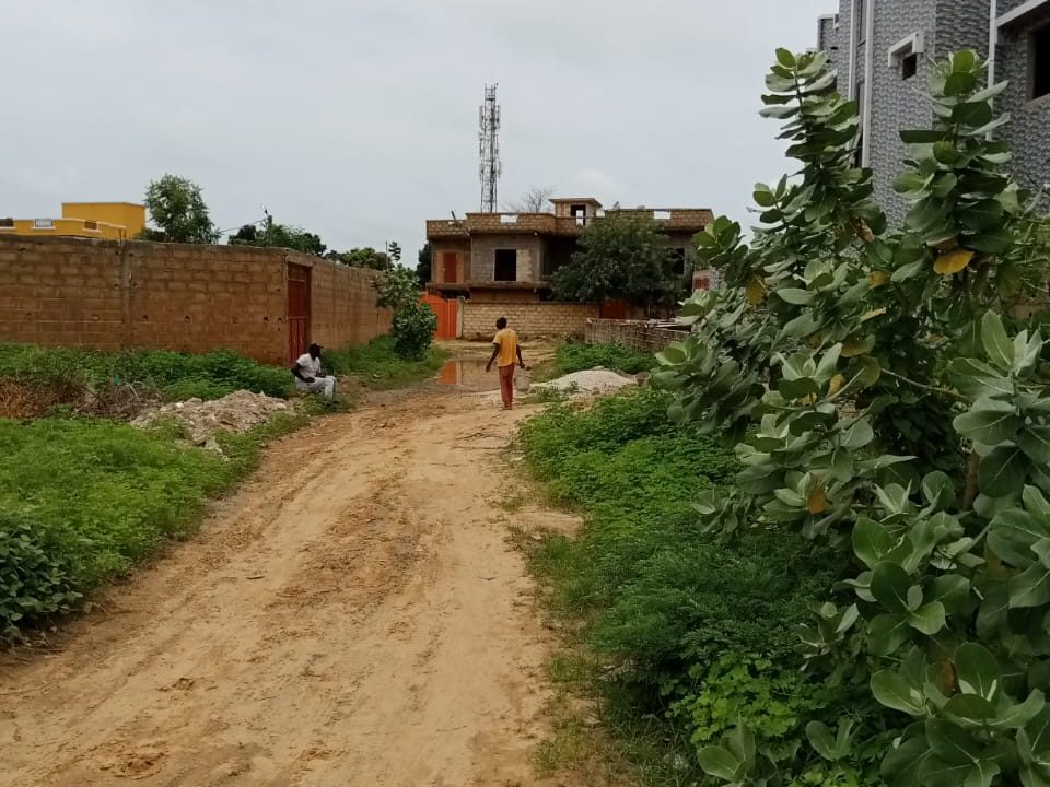 terrain de 300m2 à saly mbamb 02