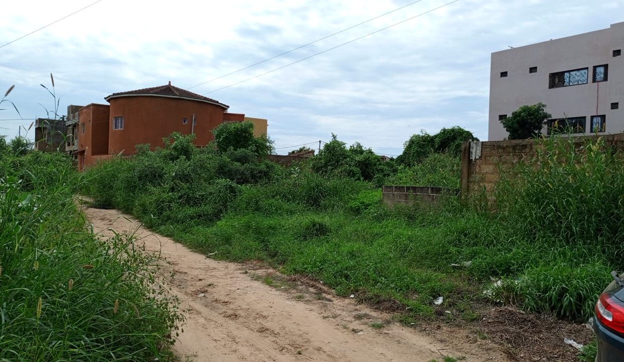 Terrain de 350m2 à saly diamb 03