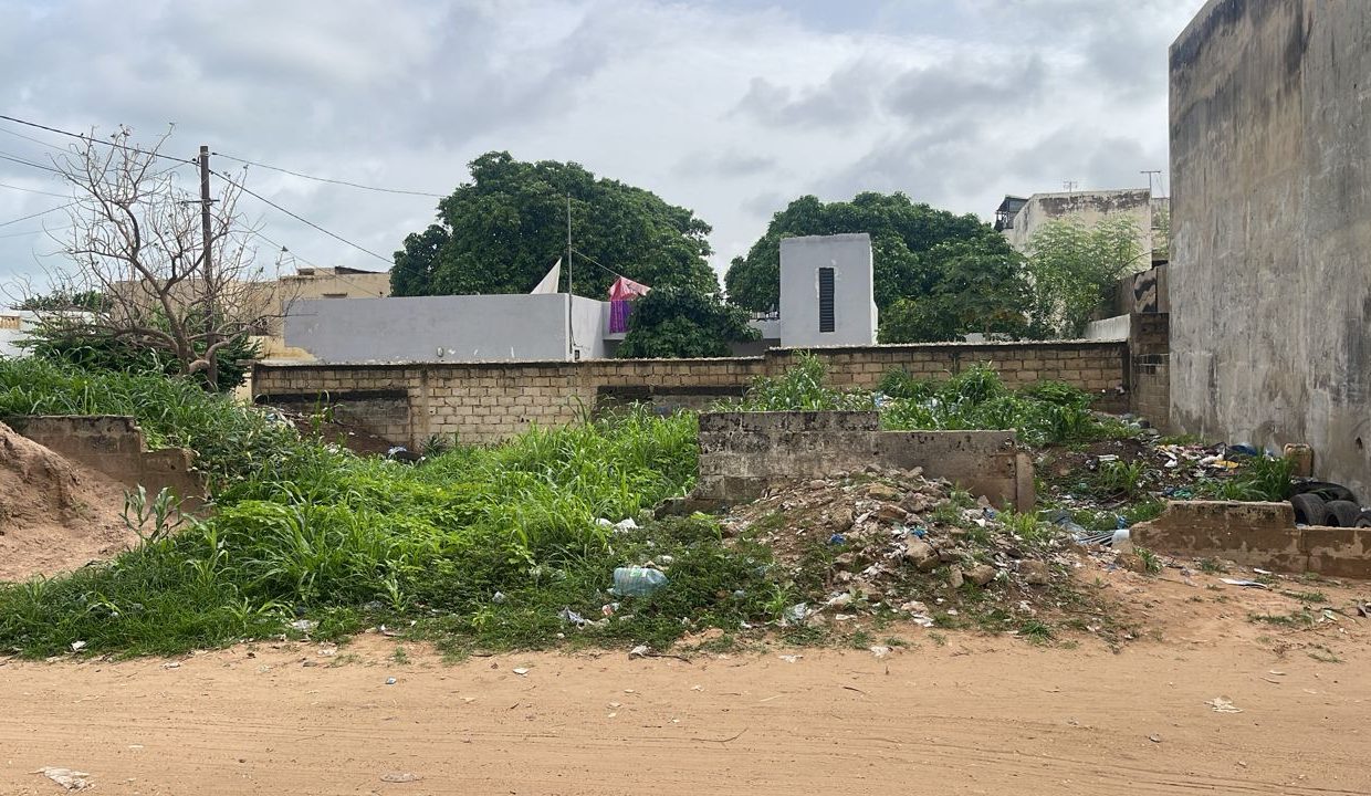 terrain de 300 m2 à mbour 02