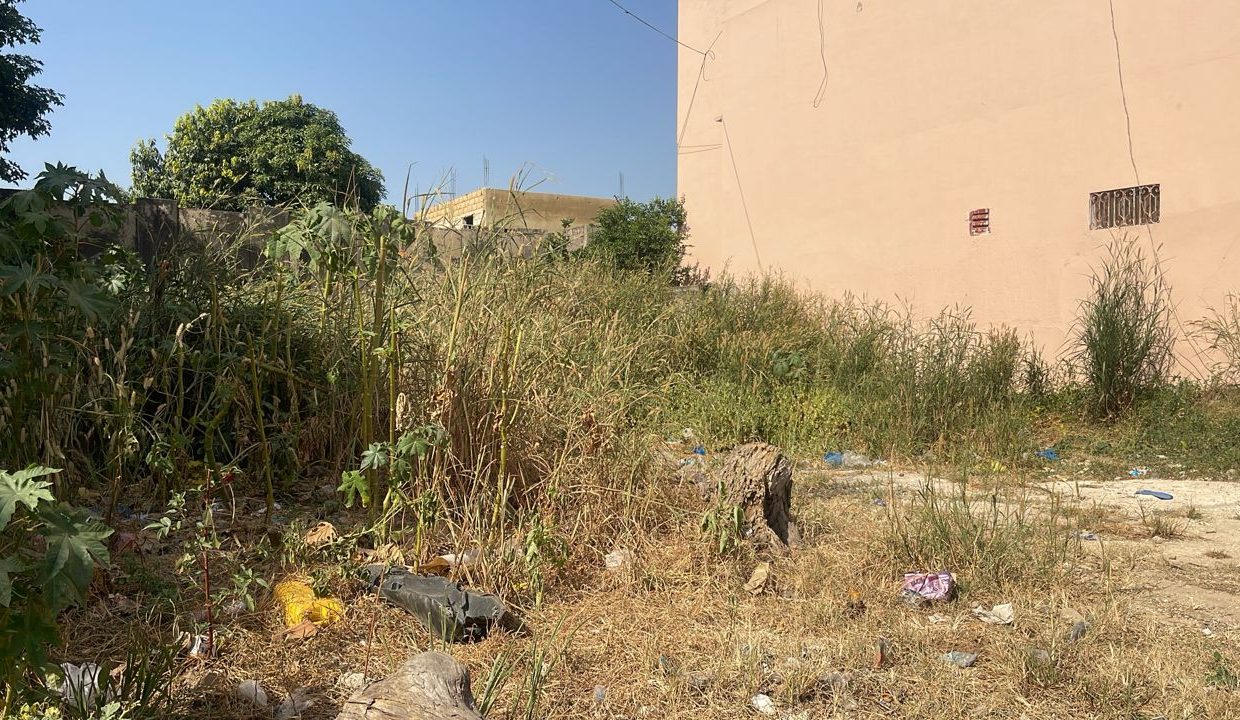 terrain de 300 m2 à mbour 03