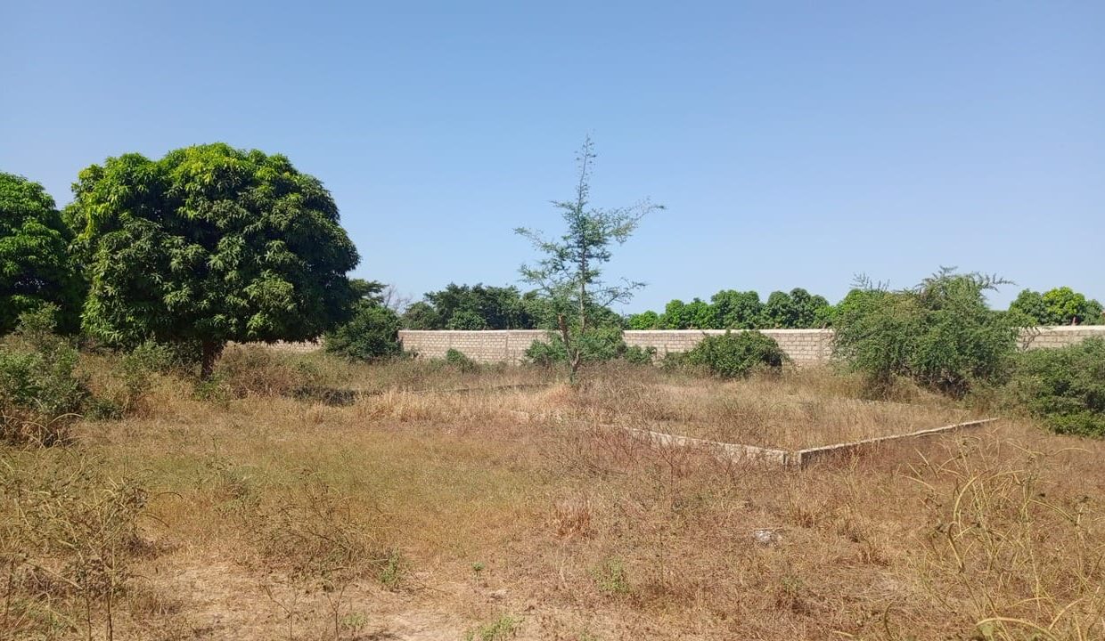 terrain de 450m2 à saly J 04