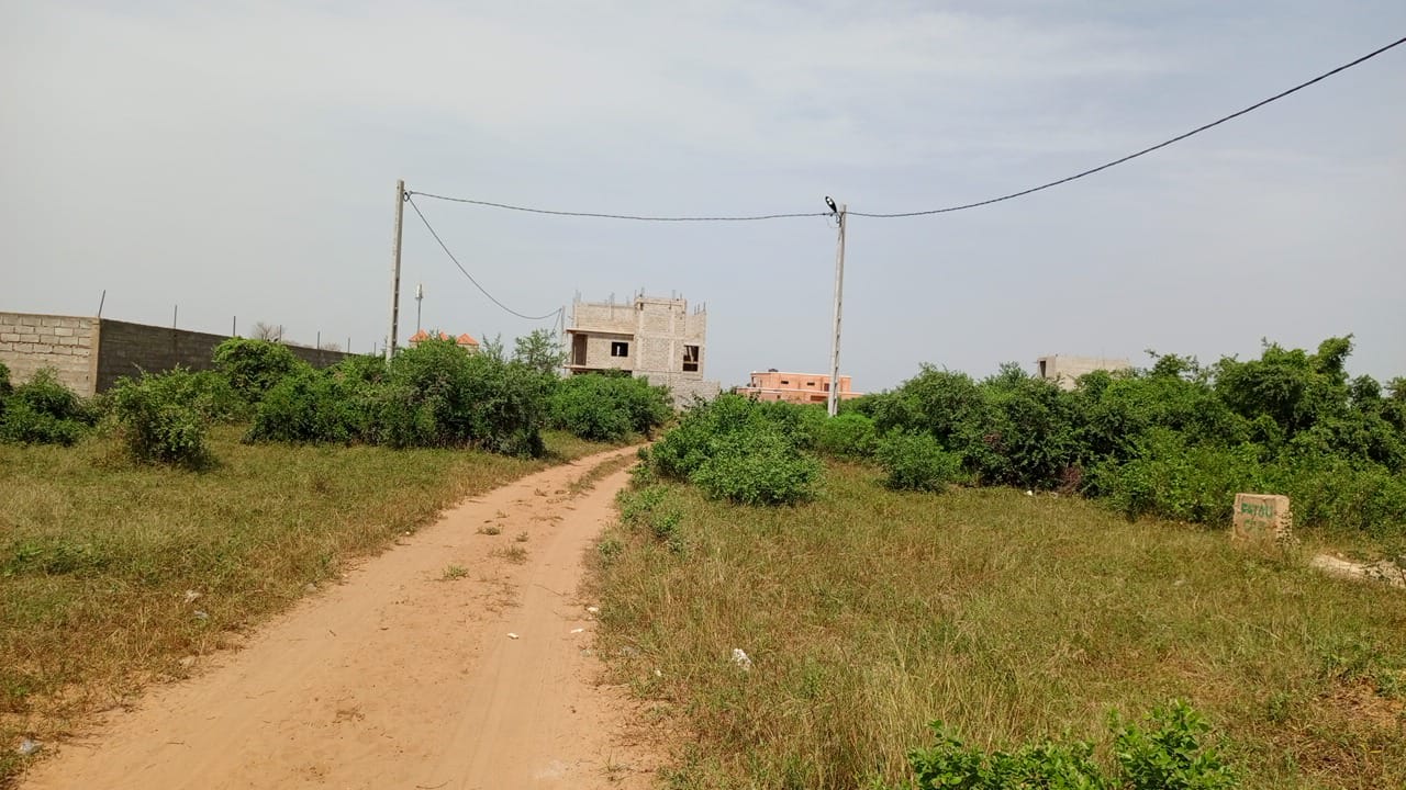 Terrain de 450 mètres carrés à vendre à Saly Sénégal