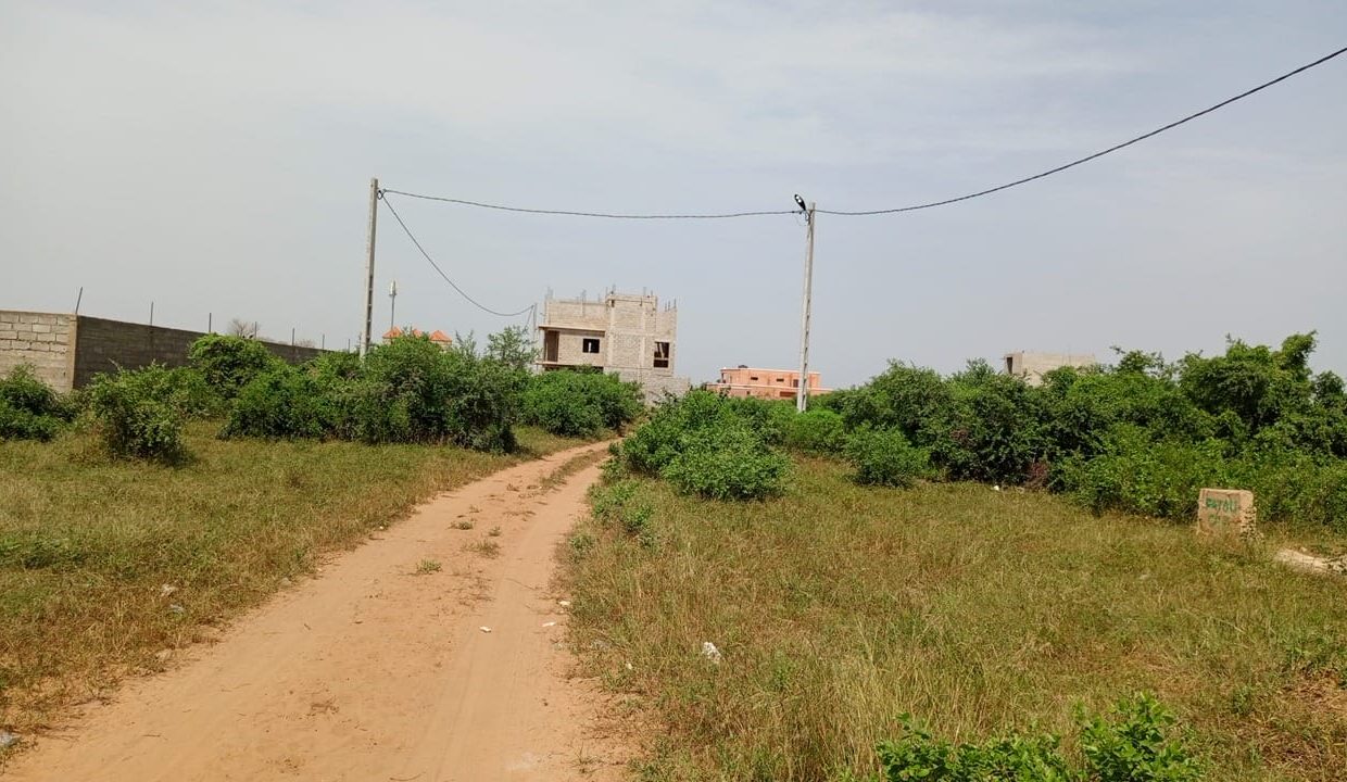 terrain de 450m2 à saly joseph 02