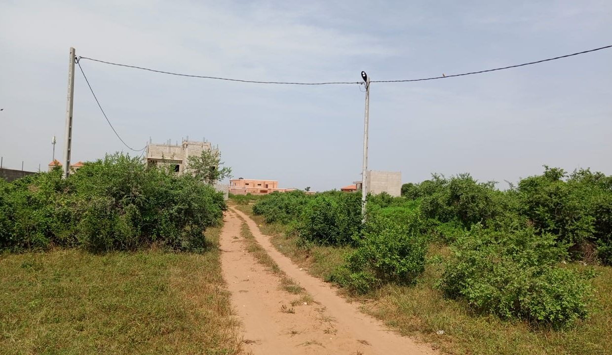 terrain de 450m2 à saly joseph 04