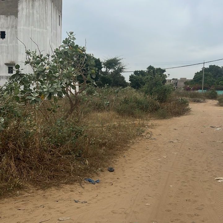 Terrain 300m2 à Saly 05