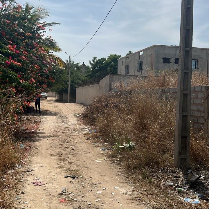 Terrain 500m2 à Saly 04
