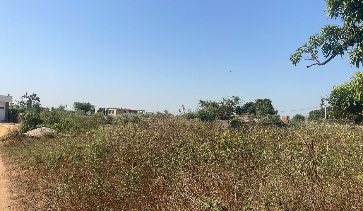 Terrain de 300m2 à ndiorokh 03