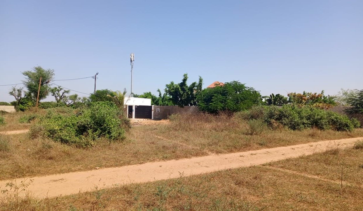 terrain de 225 m2 à saly joseph 02