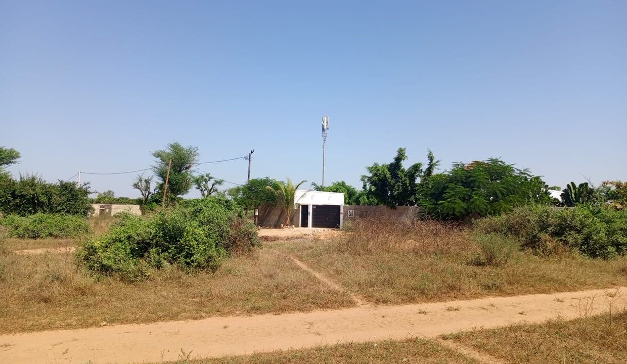 terrain de 225 m2 à saly joseph 04