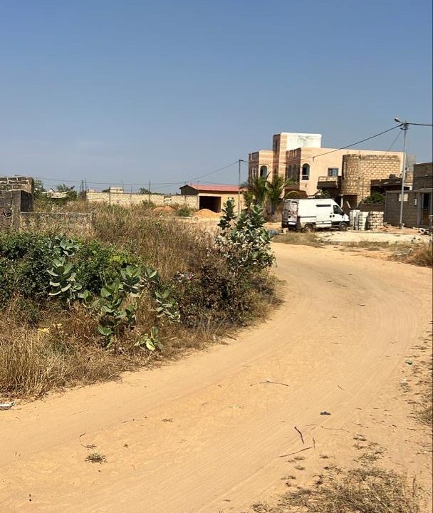 terrain de 300m2 à saly aérodrome 03