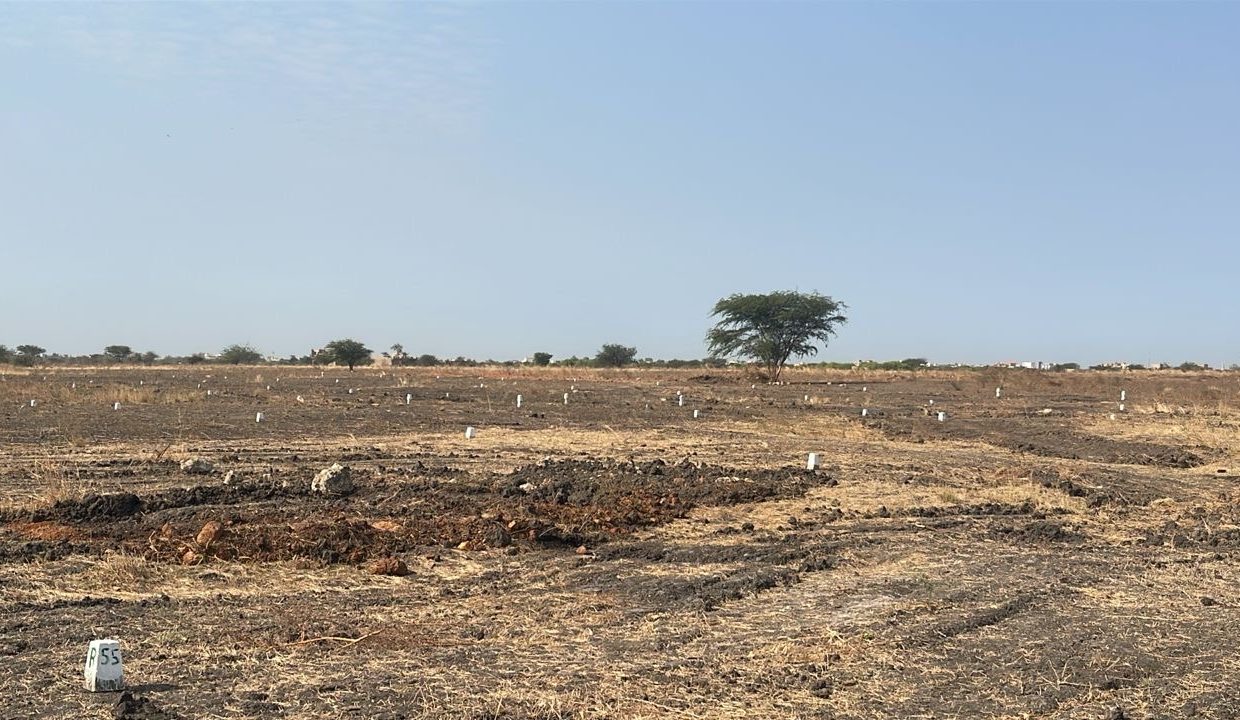 Lotissement à Yenn ndoukhoura peul 03