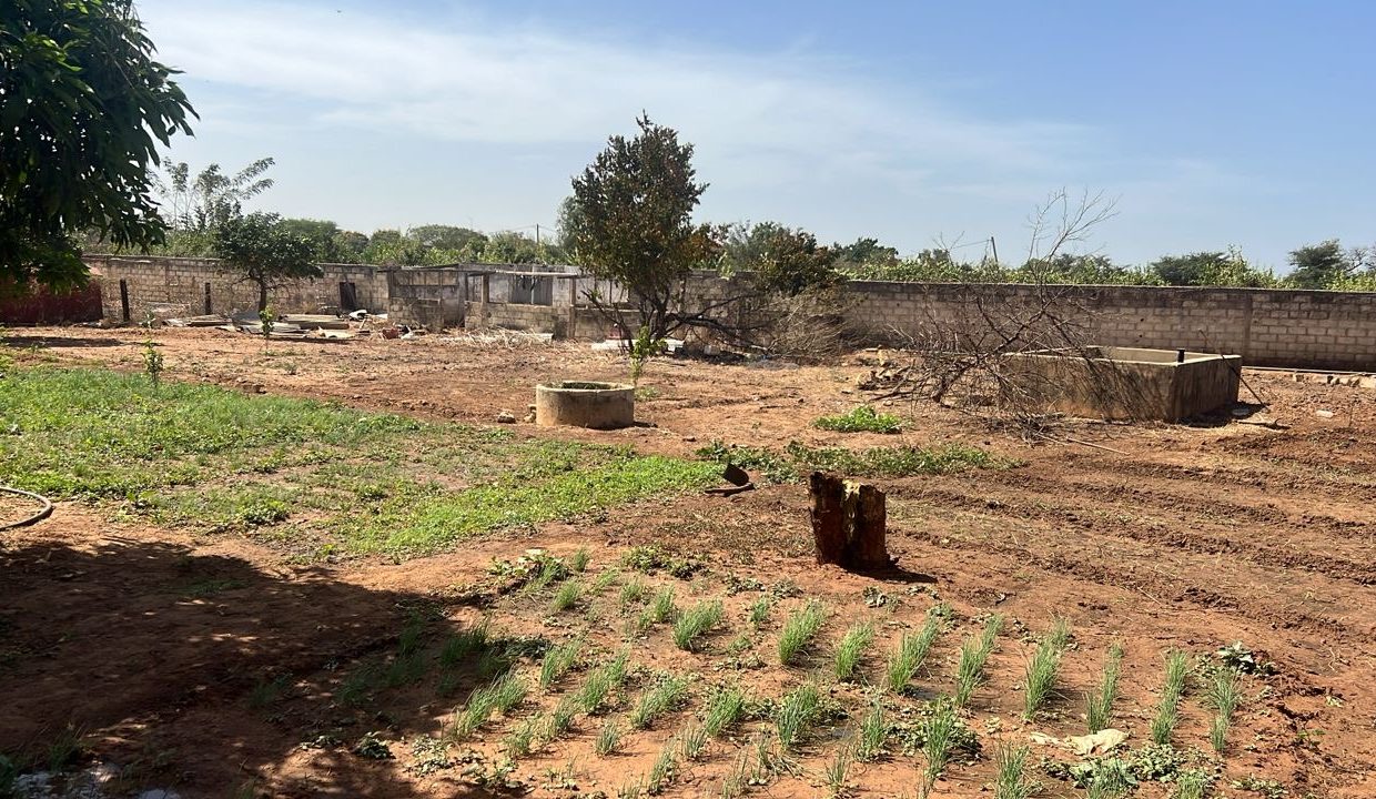 Terrain de 300m2 à Nguérigne 02