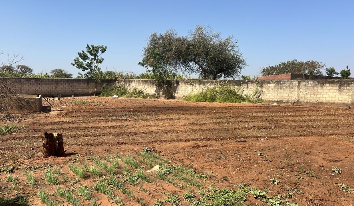 Terrain de 300m2 à Nguérigne 03