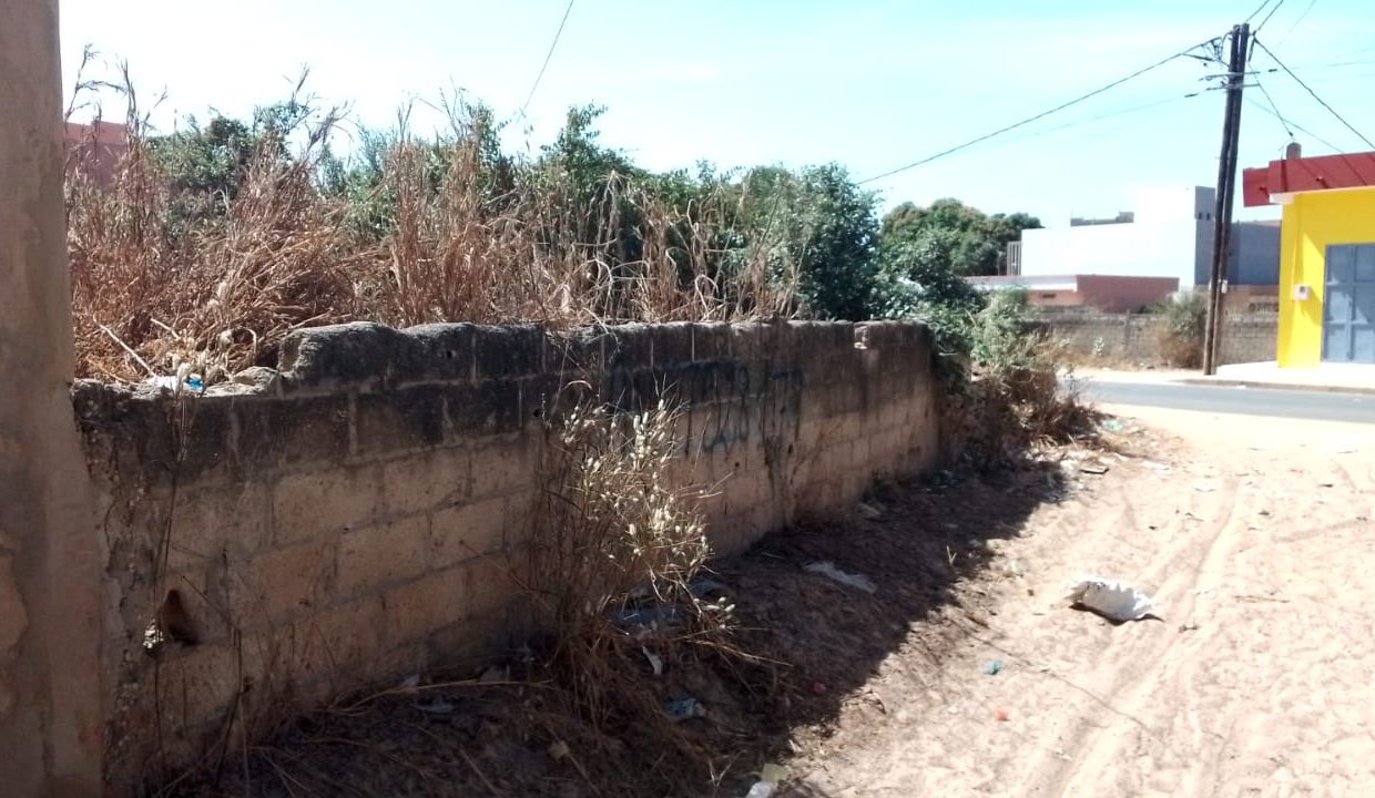 Terrain de 400m2 à Saly 05