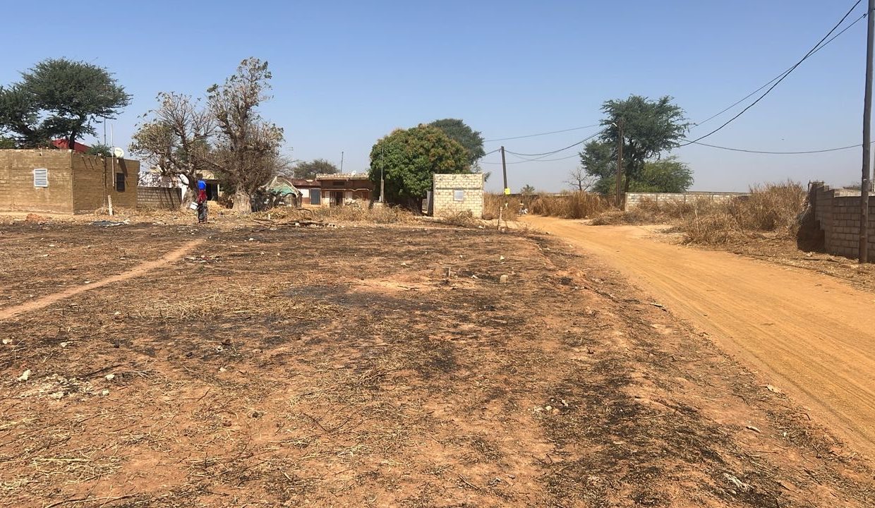 Terrain de 500m2 à Nguérigne 03