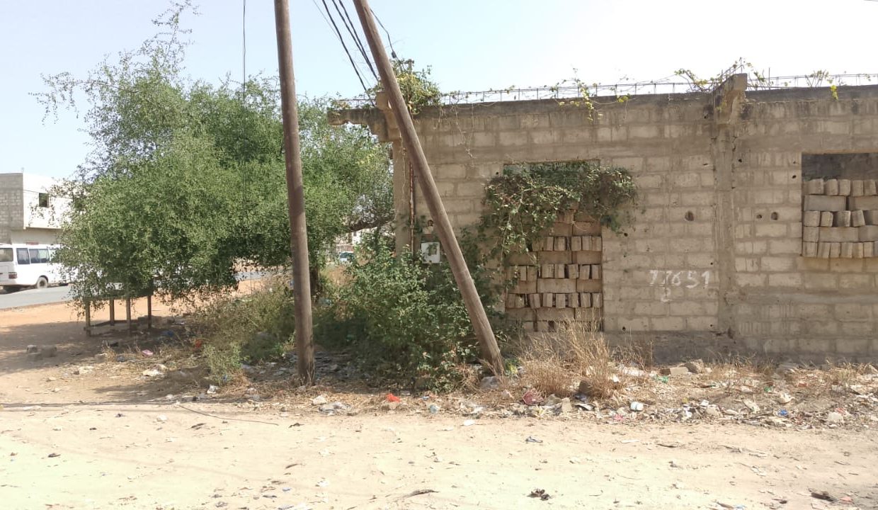 terrain de 300m2 à Saly 04