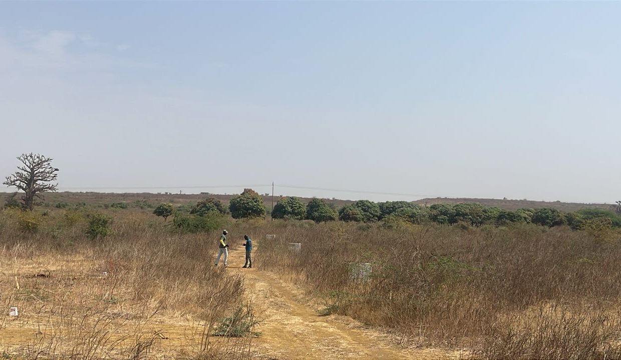 Terrain 300m2 à Ndayane 02