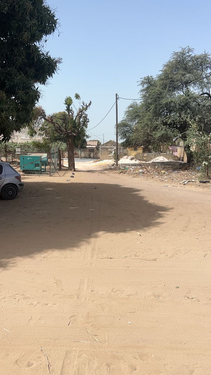 Terrain de 300 mètres carrés à vendre à Saly Sénégal - Immobilier au ...