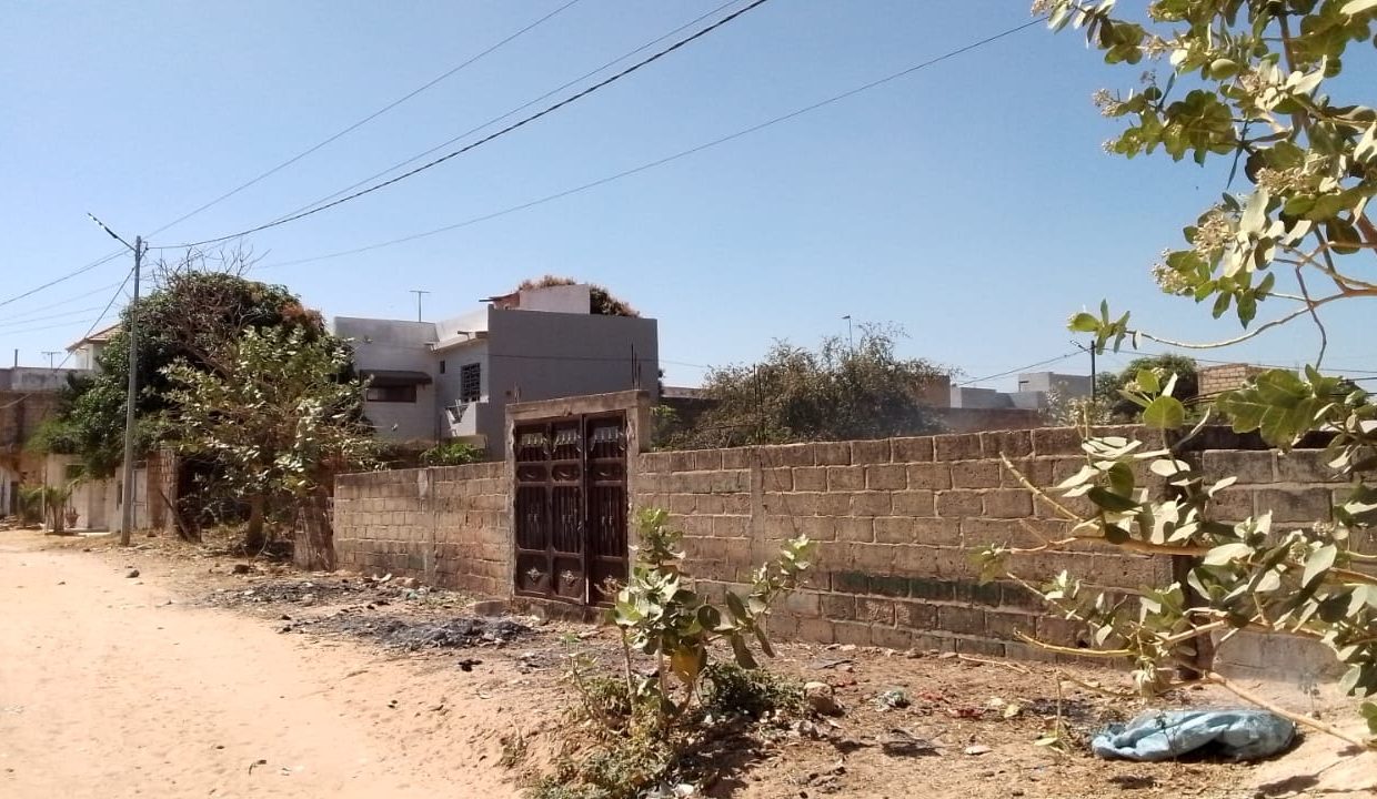 Terrain 300m2 à saly 03