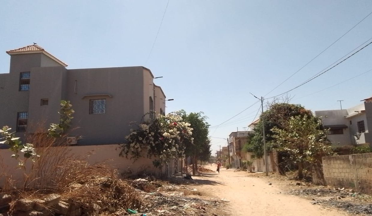 Terrain 300m2 à saly 04