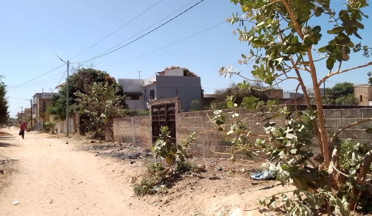 Terrain 300m2 à saly 05