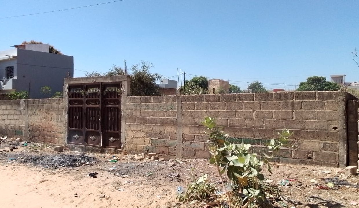 Terrain 300m2 à saly 06