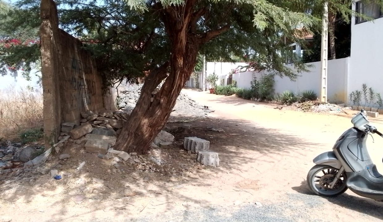 Terrain de 1148m2 à Ngaparou 02